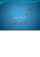 م1 (1).pdf